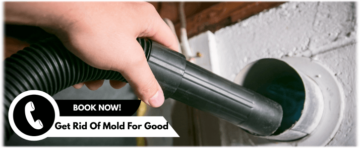 Air Duct Mold Removal in Arlington